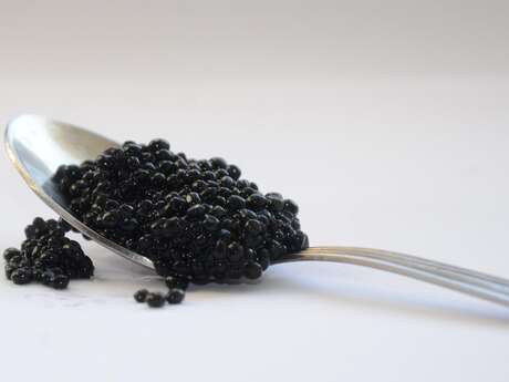 ACCORD VIN ET CAVIAR : L'ART DU GOÛT