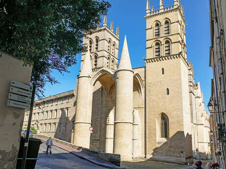 CATHEDRALE SAINT-PIERRE