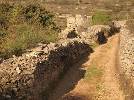 CIRCUIT N°2 BEDARIEUX - LES DOUSES - SITE VTT GRAND ORB EN HAUT-LANGUEDOC