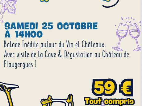 VBALADE GUIDÉE VIN , CHATEAUX , CAVES & DEGUSTATIONS PAR MONTPEL' À VÉLO