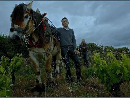 DOMAINE DE BON AUGURE
