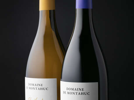 DOMAINE DE MONTAHUC