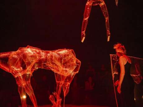 NOCTURNE (PARADE)