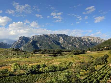 CIRCUIT N°1 LE VERDIER – SITE VTT-FFC CAROUX EN HAUT-LANGUEDOC