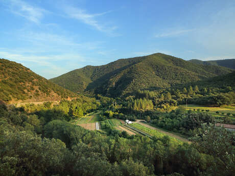 ROUTE DES VINS - VINS ET MONTAGNES