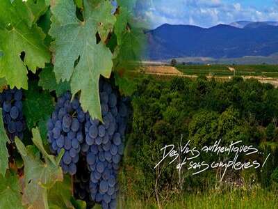 DOMAINE BASSAC
