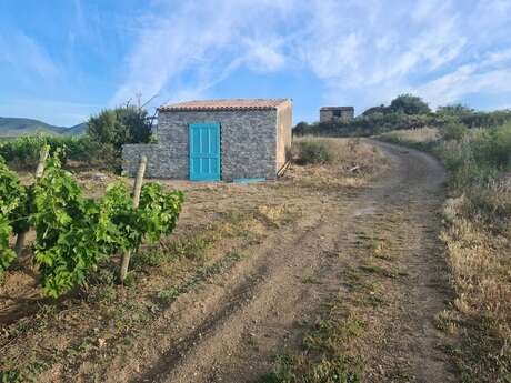 DOMAINE CAUVY