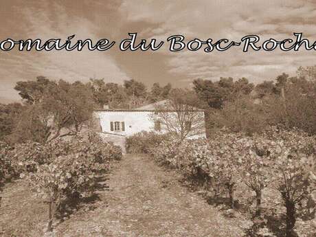 DOMAINE DU BOSC ROCHET