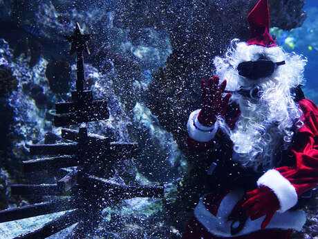LES VACANCES DE NOËL AU PLANET OCEAN MONTPELLIER