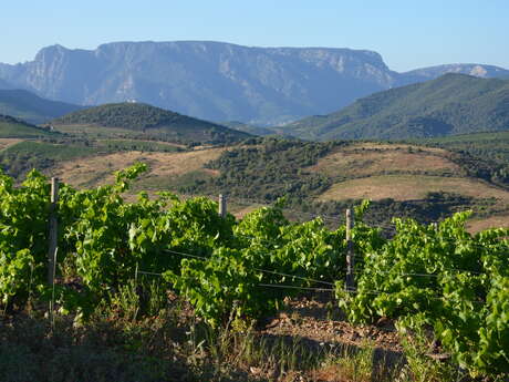 DOMAINE LES TERRASSES DE GABRIELLE