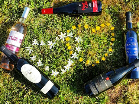 DOMAINE ANCELY