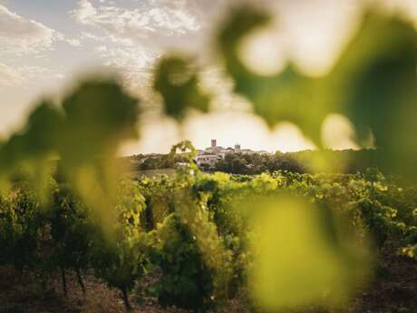DOMAINE MARIE DE LAUZERDA