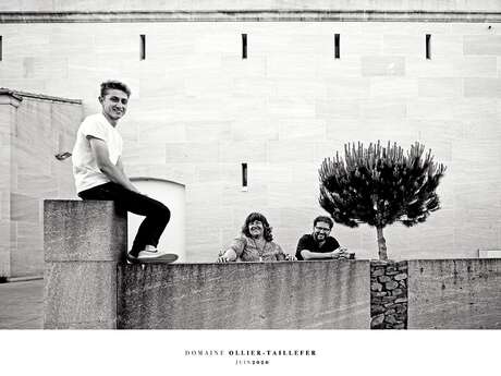 DOMAINE OLLIER-TAILLEFER