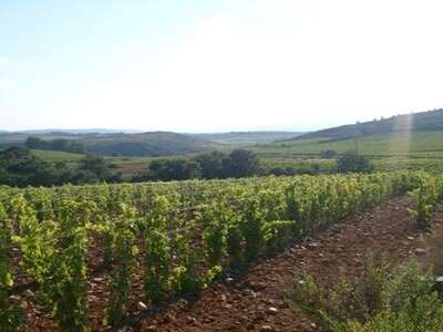 DOMAINE GALTIER