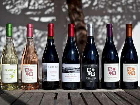 DOMAINE DE CAMBIS