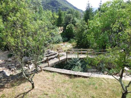 SITE DE L'ALBINE