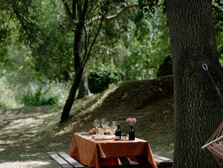 YOGA DANS LES VIGNES