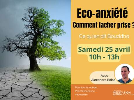 ÉCO-ANXIÉTÉ : COMMENT LÂCHER PRISE ?