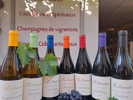 RENCONTRE VIGNERONNE AVEC LE DOMAINE LES EMINADES