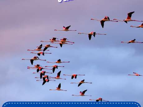 VISITES GUIDÉE VACANCES D'HIVER