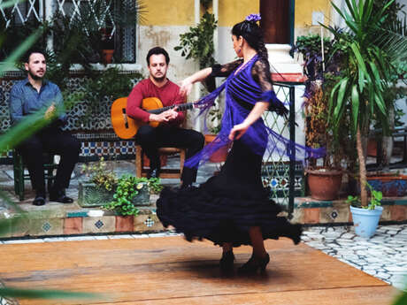 FLAMENCO PURO - COMPAGNIE MIRACIELO