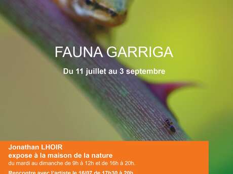 EXPOSITION PHOTOGRAPHIQUE - MAISON DE LA NATURE