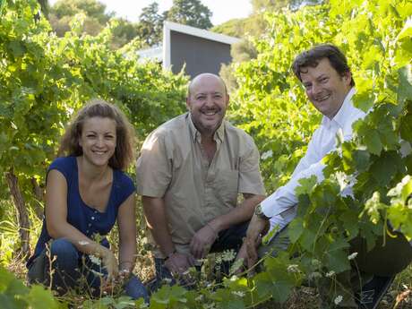 CHATEAU DE FLAUGERGUES / DOMAINE VITICOLE