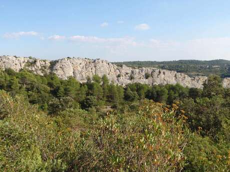 FALAISE D'ESCALADE DE NOTRE DAME