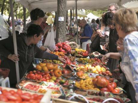 FESTIVAL DE LA TOMATE 2025 - CLAPIERS