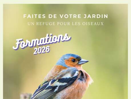 FORMATION OISEAUX DES JARDINS