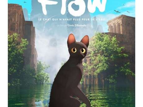 CINÉMA "FLOW"