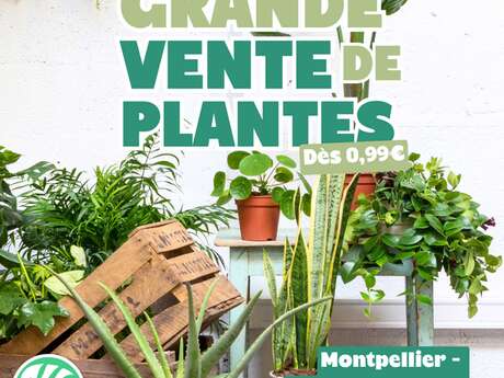GRANDE VENTE DE PLANTES
