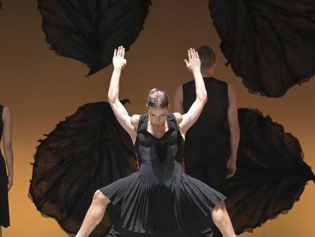 MALANDAIN BALLET BIARRITZ  THIERRY MALANDAIN