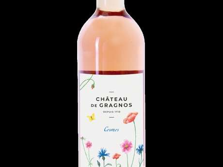 CHATEAU DE GRAGNOS