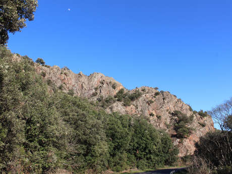 GRANITE DU MENDIC