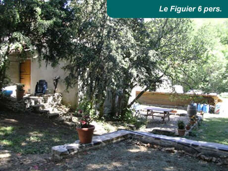 LES THERONDELS - LE FIGUIER