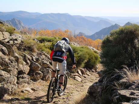 CIRCUIT N°7 LAURENQUE - SITE VTT CAROUX EN HAUT LANGUEDOC