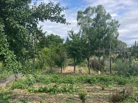 VISITE GUIDÉE DÉCOUVERTE DE LA PERMACULTURE - OASIS CITADINE