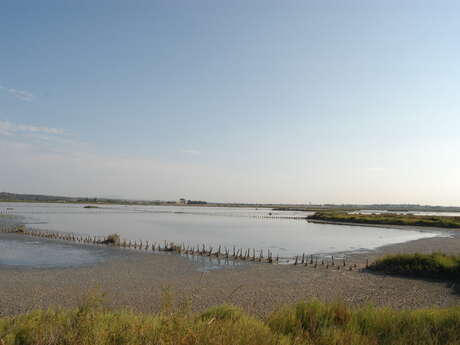 RANDONNEE DES SALINES RANDONNEE DES SALINES