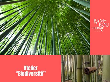 ATELIER BIODIVERSITÉ