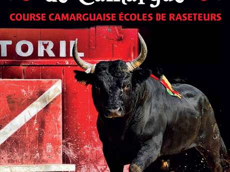LA NUIT DU TAUREAU DE CAMARGUE