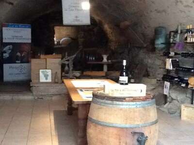 DOMAINE DE LA TOUR PENEDESSES