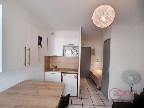 LAMALOU IMMOBILIER - PLEIN SOLEIL N°360