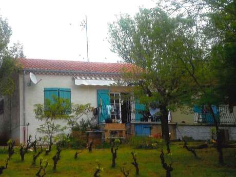 LES CIGALES