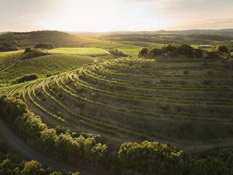 DOMAINE DE CEBENE