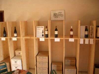 DOMAINE MAS DES CAPITELLES