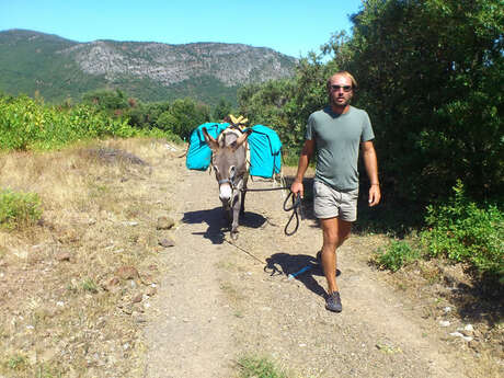 MONTAGNES ET GARRIGUES