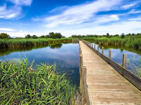 ITINÉRAIRE ACCESSIBLE - SENTIER GRAINS DE MÉJEAN