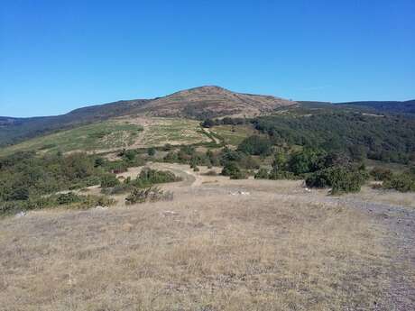 PASSA MERIDIA N° 25 - FERRALS LES MONTAGNES/CAUNES-MINERVOIS