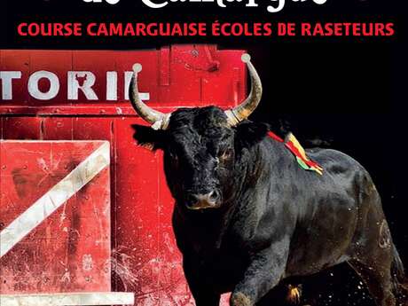 LA NUIT DU TAUREAU DE CAMARGUE